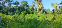 Load image into Gallery viewer, Cebu lot for sale 53,742 sqm ideal for farming/housing development in Guba Cebu City 500/sqm