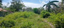 Load image into Gallery viewer, Lot for sale Cebu Philippines 1,924 sqm @ 6,000 per sqm Liloan