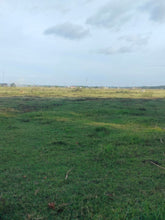 Load image into Gallery viewer, Lot for sale 4,363 sqm with mango trees and near highway Bogo City 1,000/sqm