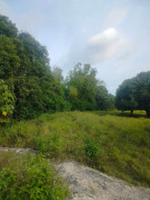 Load image into Gallery viewer, Lot for sale 4,363 sqm with mango trees and near highway Bogo City 1,000/sqm