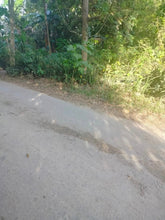 Load image into Gallery viewer, Lot for sale 4,363 sqm with mango trees and near highway Bogo City 1,000/sqm