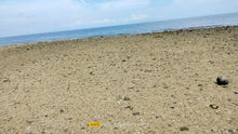 Load image into Gallery viewer, Beach Lot For Sale 26 Hectares In Bogo City Cebu 800/Sq.M