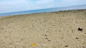 Beach Lot For Sale 26 Hectares In Bogo City Cebu 800/Sq.M