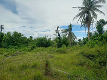 Load image into Gallery viewer, Lot For Sale 4,126 sqm in clean title commercial/res. in Talibon Bohol 5M