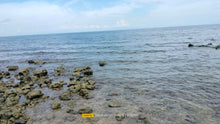 Load image into Gallery viewer, Beach Lot For Sale 26 Hectares In Bogo City Cebu 800/Sq.M