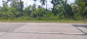 Cebu lot for sale along h.way 16 has in Tabogon Cebu 250/sqm