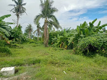 Load image into Gallery viewer, Lot For Sale 4,126 sqm in clean title commercial/res. in Talibon Bohol 5M