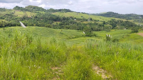 Lot for sale 14 hectares in Tabogon Cebu 150/sqm