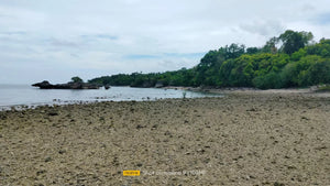 Beach Lot For Sale 26 Hectares In Bogo City Cebu 800/Sq.M