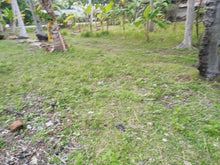 Load image into Gallery viewer, Maribojoc Bohol Lot Near Highway 1.1 Hectare