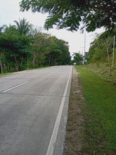 Load image into Gallery viewer, Maribojoc Bohol Lot Near Highway 1.1 Hectare