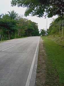 Maribojoc Bohol Lot Near Highway 1.1 Hectare