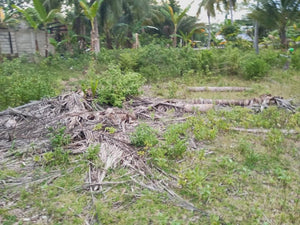 Maribojoc Bohol Lot Near Highway 1.1 Hectare