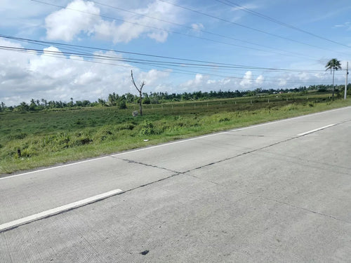 For Sale Commercial lot along highway wide frontage in Ubay Bohol 1,200/sqm net