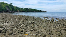 Load image into Gallery viewer, Beach Lot For Sale 26 Hectares In Bogo City Cebu 800/Sq.M