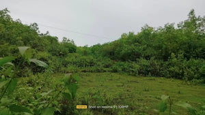 Cebu lot for sale flat terrain seaview and slightly rolling in Bogo City