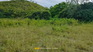 30,036 sqm lot for sale  at Bogo City