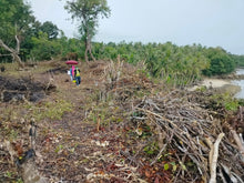 Load image into Gallery viewer, Seafront lot for sale Bohol Philippines 3,000/sqm