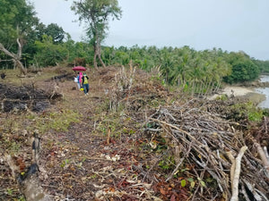 Seafront lot for sale Bohol Philippines 3,000/sqm