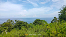 Load image into Gallery viewer, Beach Lot For Sale 26 Hectares In Bogo City Cebu 800/Sq.M