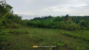 Cebu lot for sale flat terrain seaview and slightly rolling in Bogo City