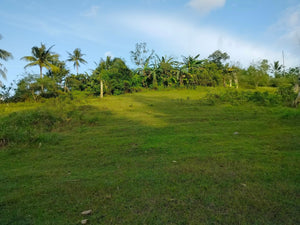 Lot for sale second lot from highway and near car-car city...600/sqm slightly negotiable