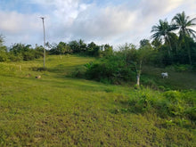 Load image into Gallery viewer, Lot for sale second lot from highway and near car-car city...600/sqm slightly negotiable