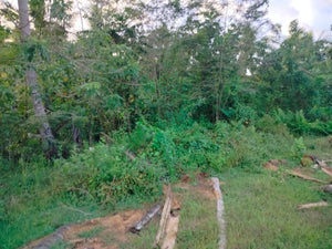 Lot for sale second lot from highway and near car-car city...600/sqm slightly negotiable