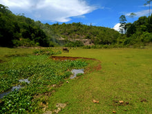 Load image into Gallery viewer, 7.2 has with flowing water at Borbon Cebu Philippines 12m