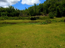 Load image into Gallery viewer, 7.2 has with flowing water at Borbon Cebu Philippines 12m