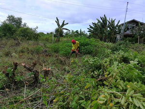 Lot For Sale 909 sqm Clean Title near Alona beach Panglao Island 5,000/sqm