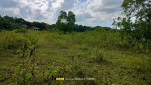 Load image into Gallery viewer, 30,036 sqm lot for sale  at Bogo City