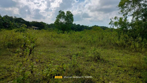 30,036 sqm lot for sale  at Bogo City