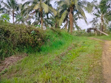 Load image into Gallery viewer, Lot for sale 3 has Balilihan Bohol Philippines 130/sqm