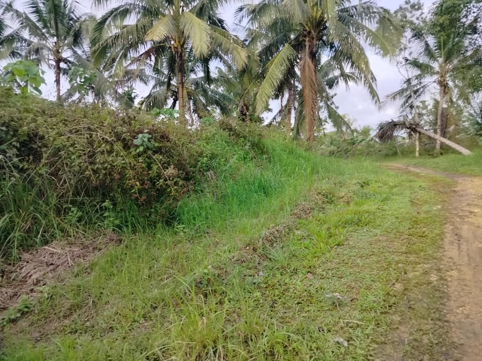 Lot for sale 3 has Balilihan Bohol Philippines 130/sqm