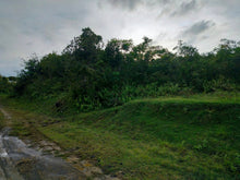 Load image into Gallery viewer, Lot for sale 3 has Balilihan Bohol Philippines 130/sqm