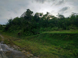 Lot for sale 3 has Balilihan Bohol Philippines 130/sqm