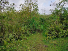 Load image into Gallery viewer, Lot for sale 3 has Balilihan Bohol Philippines 130/sqm