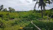 Load image into Gallery viewer, Beach Lot For Sale 26 Hectares In Bogo City Cebu 800/Sq.M