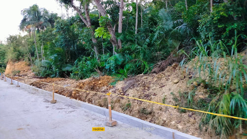 Bohol lot for sale 2,991 sqm ready for title near Tagbilaran City in Corella Bohol 1,500/sqm