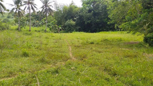 Lot for sale 14 hectares in Tabogon Cebu 150/sqm