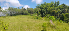 Load image into Gallery viewer, Cebu lot for sale along h.way 16 has in Tabogon Cebu 250/sqm