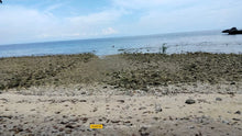 Load image into Gallery viewer, Beach Lot For Sale 26 Hectares In Bogo City Cebu 800/Sq.M