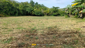 30,036 sqm lot for sale  at Bogo City