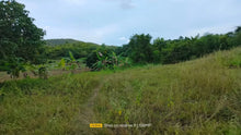 Load image into Gallery viewer, 30,036 sqm lot for sale  at Bogo City