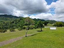 Load image into Gallery viewer, GOLDEN HAVEN MEMORIAL PARK - CEBU  as low as 5,420/sqm