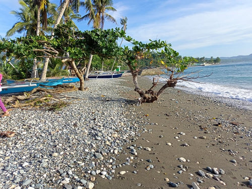 Beach lot for sale near highway in Guindulman Bohol 3.5M