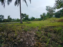 Load image into Gallery viewer, Seafront lot for sale Bohol Philippines 3,000/sqm