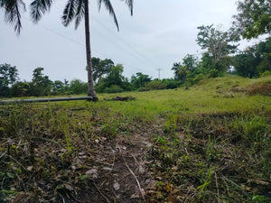 Seafront lot for sale Bohol Philippines 3,000/sqm