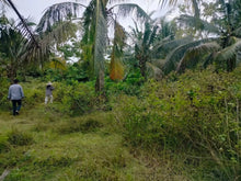 Load image into Gallery viewer, Lot for sale Jagna Bohol Philippines 1k/sqm